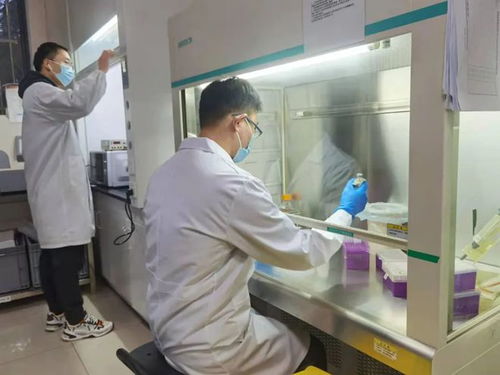 以技術(shù)創(chuàng)新踐行社會責(zé)任——相城生物醫(yī)藥企業(yè)戰(zhàn)疫顯擔(dān)當(dāng)