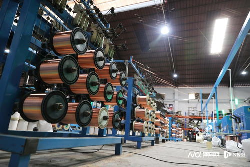 背靠東莞制造，虎門生物化工產品技術研發如何跑向全國